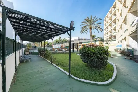 Maison 1 chambre 300m plage, Playa del Inglés : photo 40
