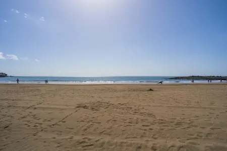 Maison front de mer Las Palmas, 10 m de la plage : photo 44