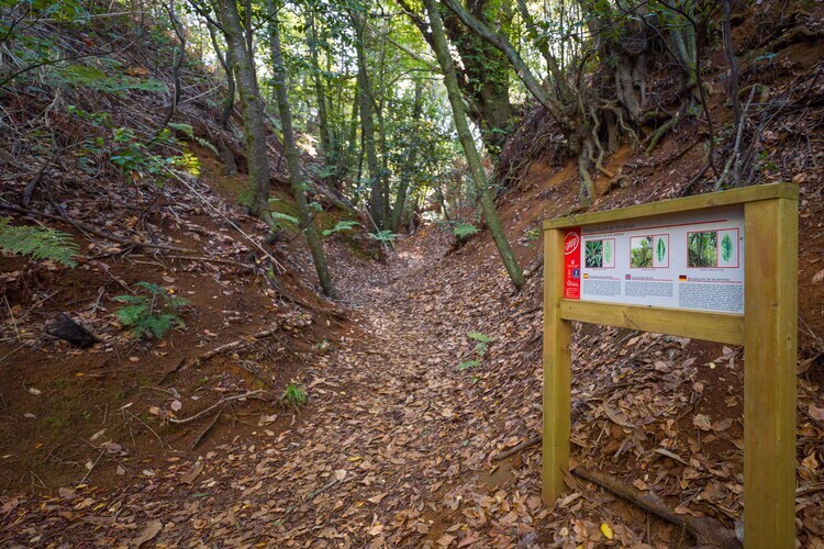 Sombra del Laurel, gîte 6 pers. en forêt de lauriers - Photo 33