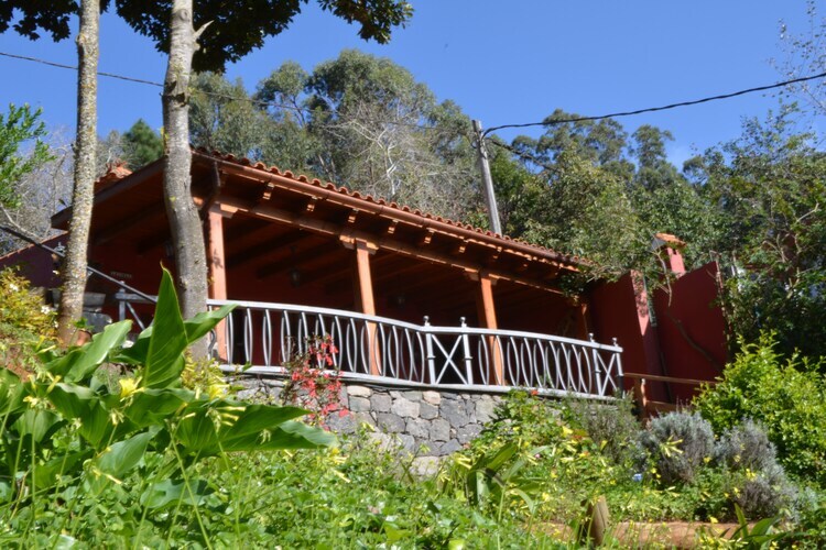 Sombra del Laurel, gîte 6 pers. en forêt de lauriers - Photo 41