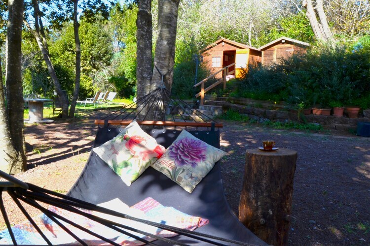 Sombra del Laurel, gîte 6 pers. en forêt de lauriers - Photo 42