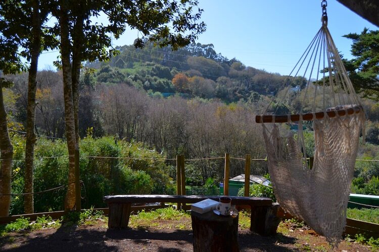 Sombra del Laurel, gîte 6 pers. en forêt de lauriers - Photo 47