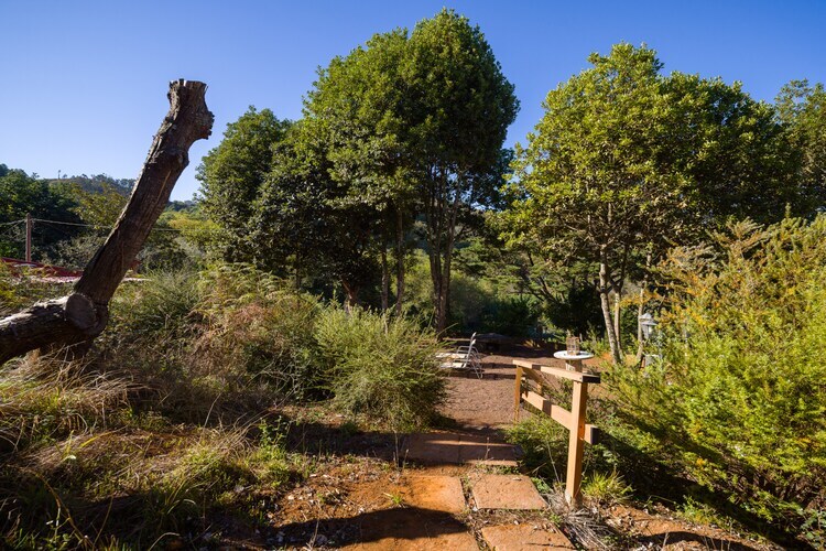 Sombra del Laurel, gîte 6 pers. en forêt de lauriers - Photo 48