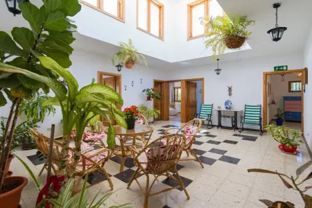 Chalet Agaete Pupe Home – 3 chambres, terrasse 30 m² : photo 6