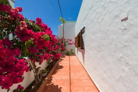 Chalet Agaete Pupe Home – 3 chambres, terrasse 30 m² : photo 46