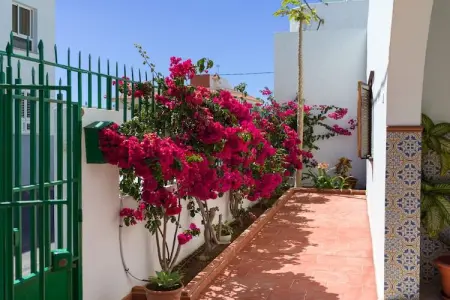 Chalet Agaete Pupe Home – 3 chambres, terrasse 30 m² : photo 51