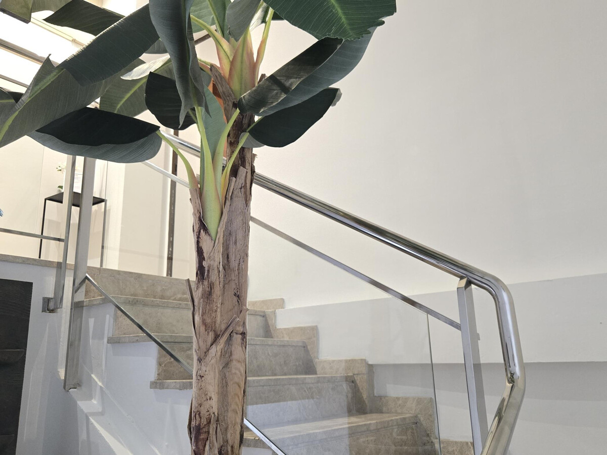 Félix Sáenz Suites: Appartement Design au Cœur de Málaga - Photo 16