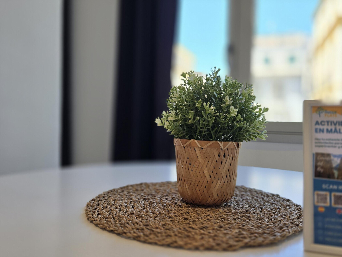 Suite design Banderas, cœur historique de Málaga - Photo 8