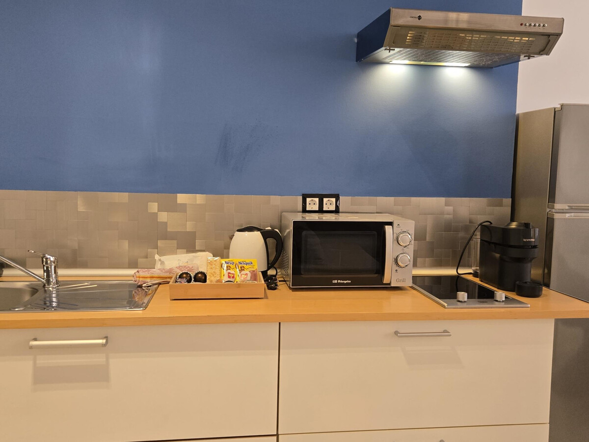 Suite Design 4 pers. au cœur de Málaga - Photo 7