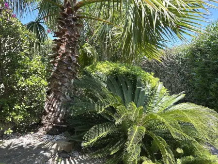 Villa spacieuse avec piscine privative à Bormes-les-Mimosas - Photo 22