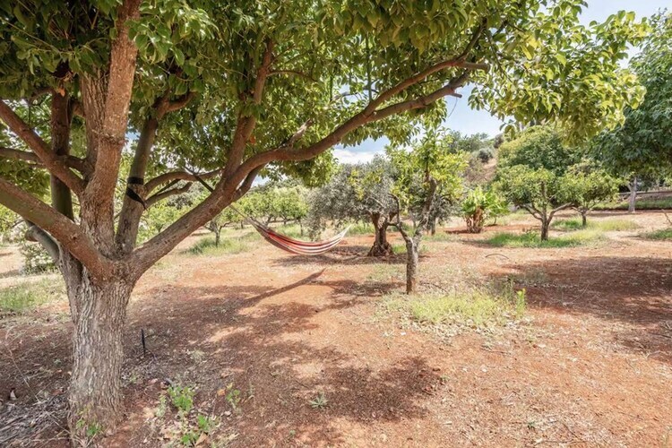 Quinta da Fragura : maison 3 chambres avec piscine à Silves - Photo 30