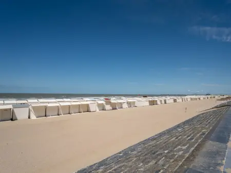 Appartement avec balcon de 5 m² à 25 m de la plage, Blankenberge : photo 22