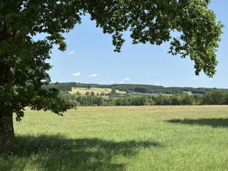 Langlire, maison familiale de 22 places à Gouvy, Belgique : photo 39