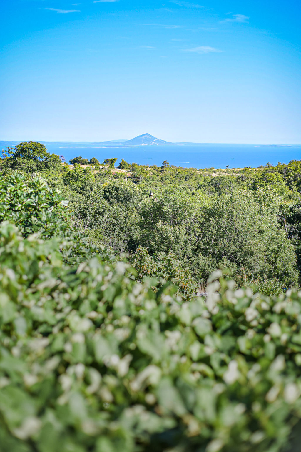 LeMareVita, maison rustique rénovée à Skitača - Photo 29