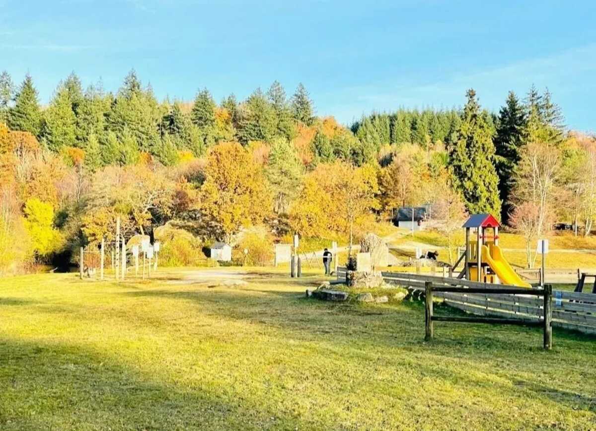Appartement 7 personnes à Bugeat, jardin avec barbecue - Photo 18