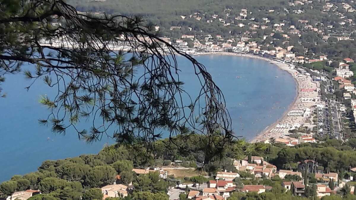 Appartement 2 personnes, terrasse jardin à Saint-Cyr-sur-Mer - Photo 19