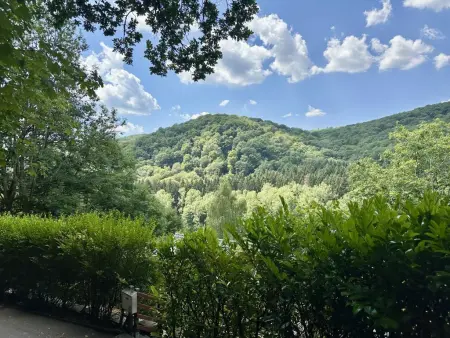 Le Quarante et Un : chalet à Aywaille, entre forêt et vallées : photo 38