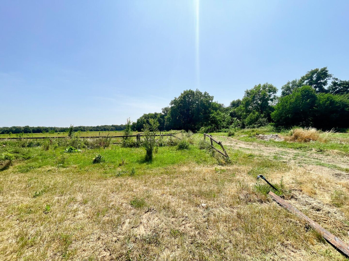 Gîte 12 pers. ferme bio, 6 ha, châteaux Loire - Photo 3