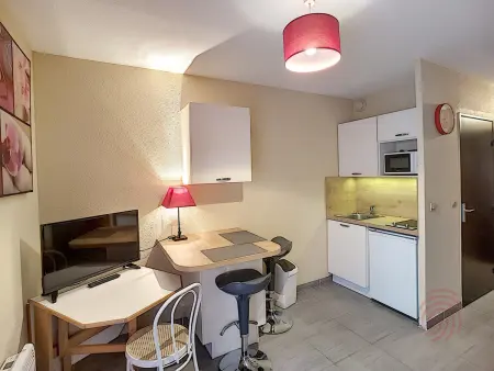 Studio rénové 17 m² avec balcon, WiFi et animaux acceptés : photo 4