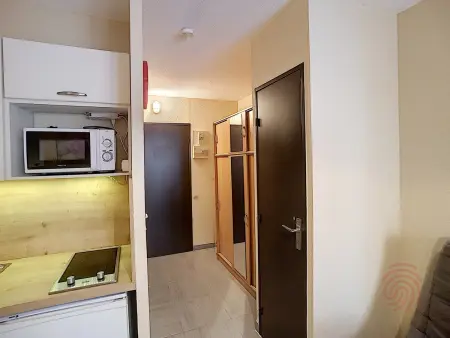 Studio rénové 17 m² avec balcon, WiFi et animaux acceptés : photo 6