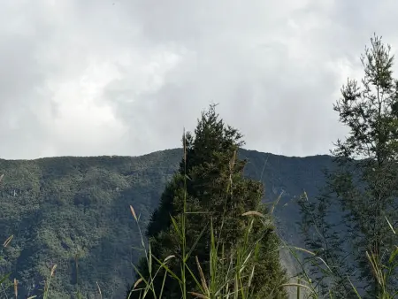 Villa Rosat à Saint-Joseph : 6 pers, accès PMR, terrasse vue : photo 5