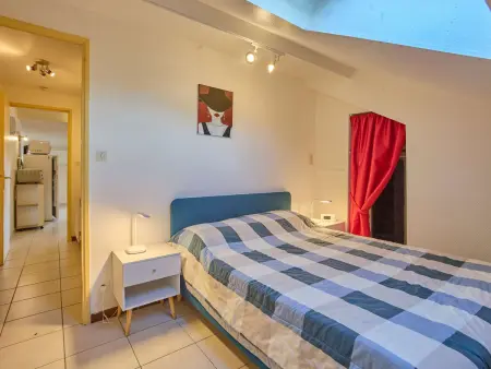 T2bis 45m² balcon sud à Barbotan-les-Thermes : photo 4