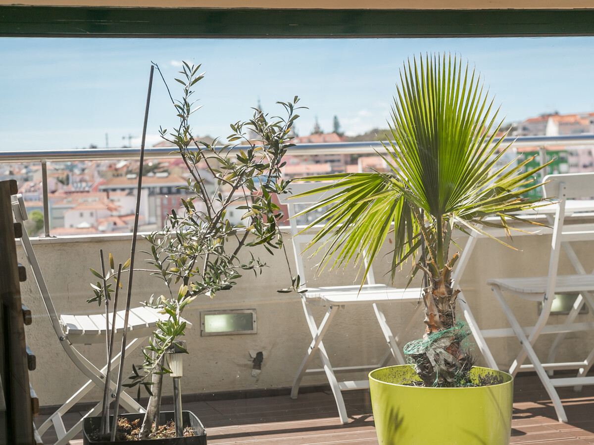 Penthouse 3 chambres avec terrasse panoramique à Príncipe Real - Photo 7