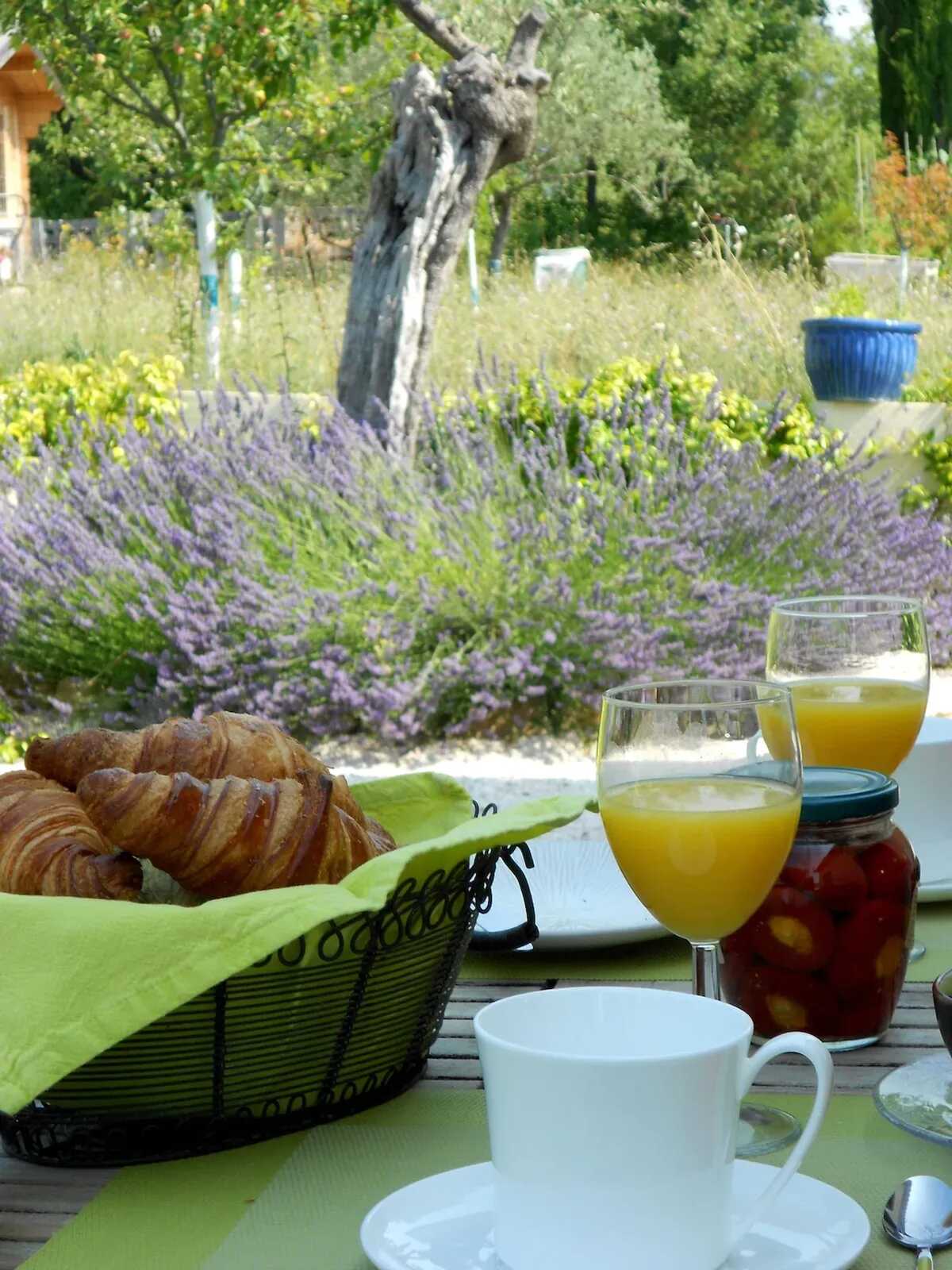 Appartement 45m² Seillans, piscine et jardin terrasse - Photo 10