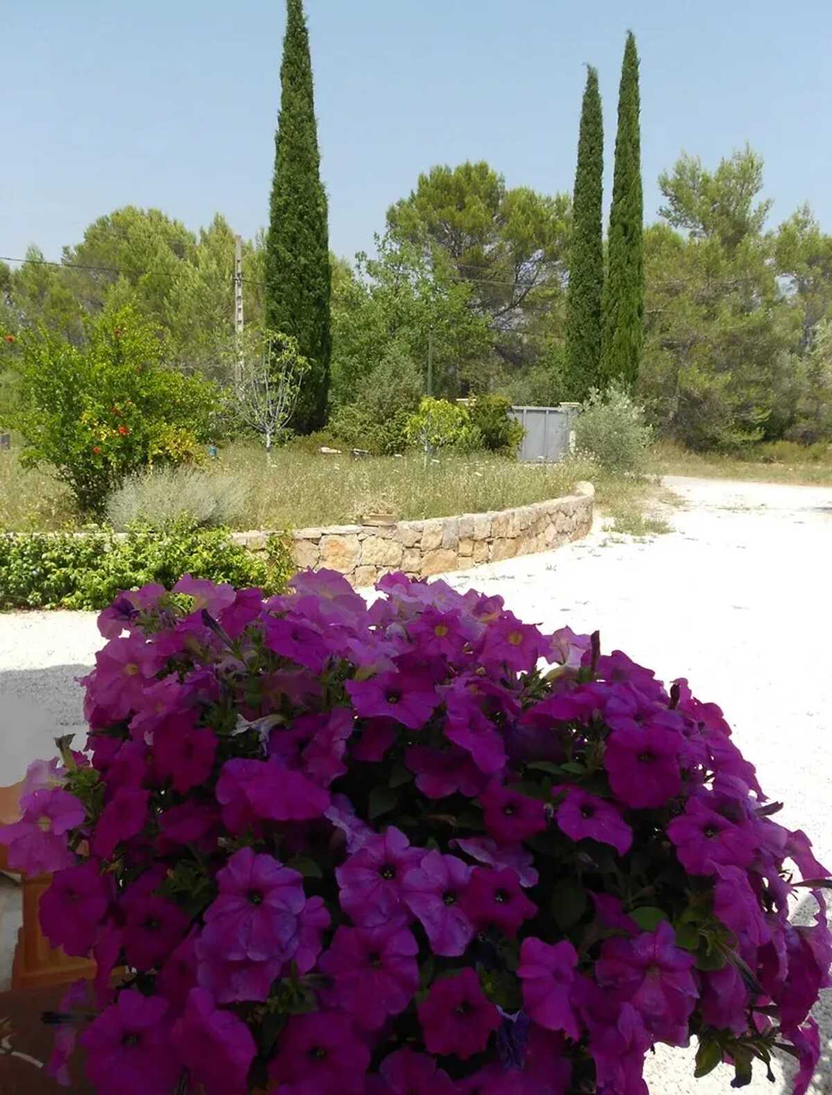 Appartement 45m² Seillans, piscine et jardin terrasse - Photo 11