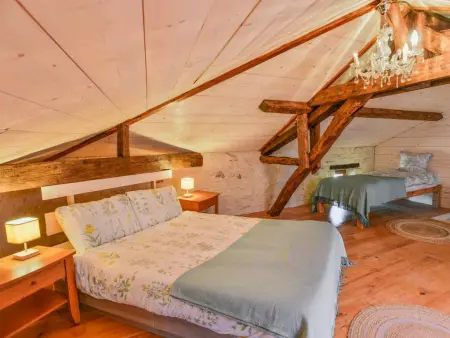 Le Mas d'Amour : maison de charme avec jacuzzi à Montcabrier : photo 29
