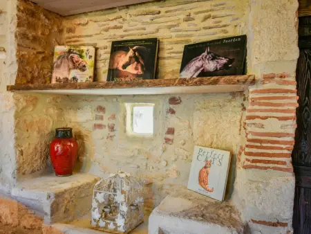 Le Mas d'Amour : maison de charme avec jacuzzi à Montcabrier : photo 40