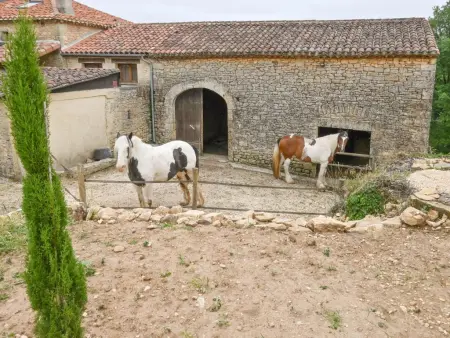 Le Mas d'Amour : maison de charme avec jacuzzi à Montcabrier : photo 59