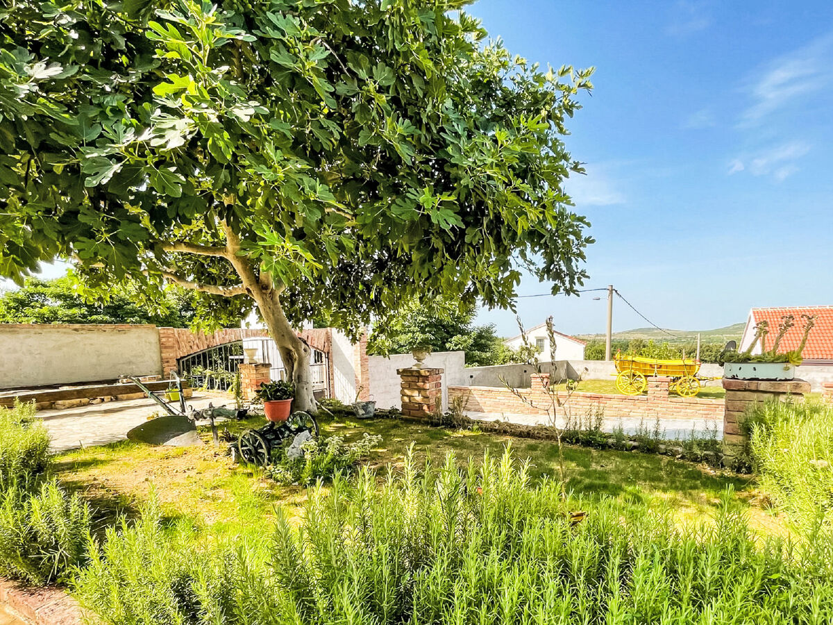Villa Meri - Maison 6 pers. piscine privée Novigrad - Photo 43