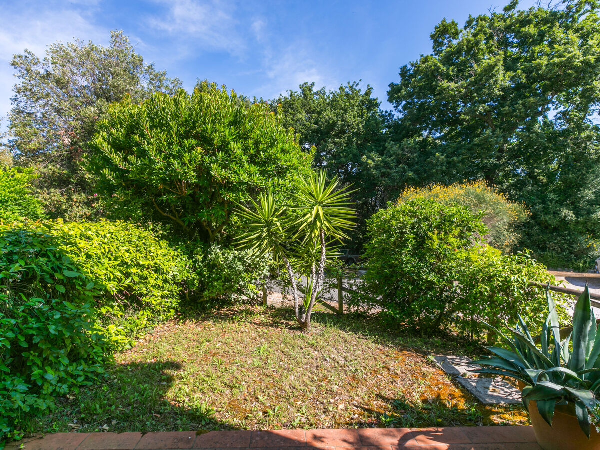 Il Castello – Appartement 2p à Montescudaio, accès piscine - Photo 34