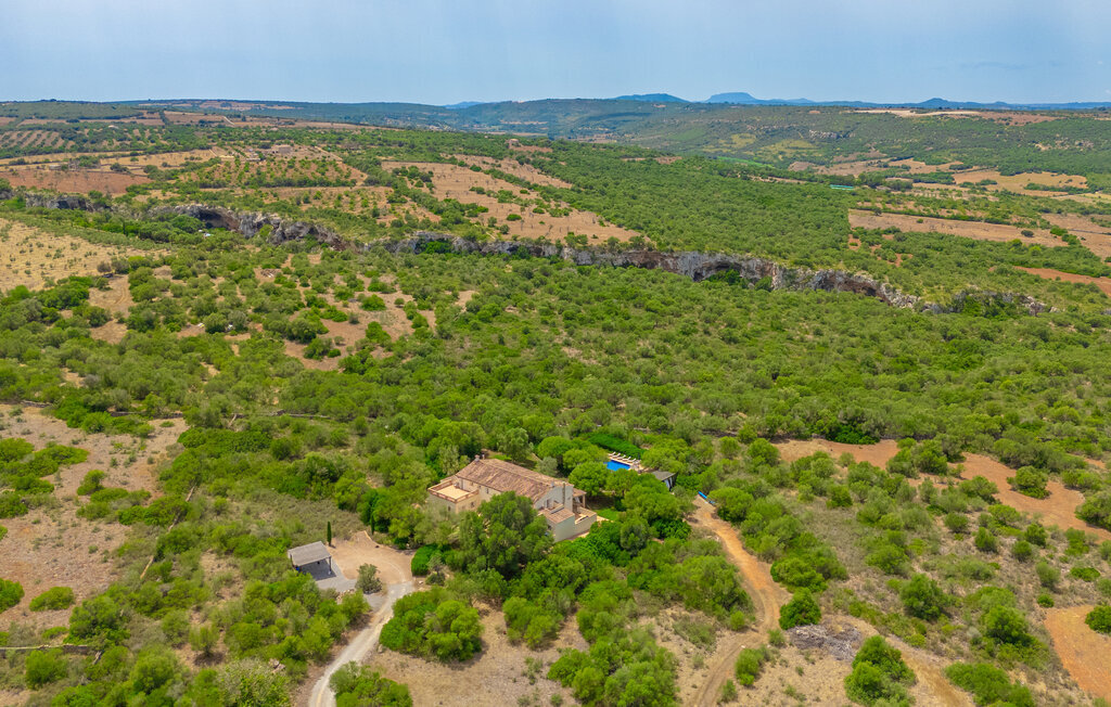 Finca Tortuga de son Cifre, Maison 12 personnes à Manacor - Photo 15