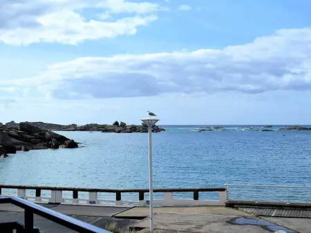 Appartement vue mer face plage Coz-Pors, Trégastel : photo 14