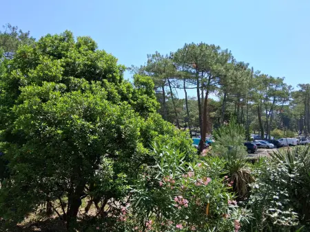 Appartement T2 Seignosse - Plages et commerces à pied : photo 14