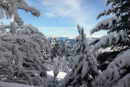 Chalet des Lupins – 15 m² romantique à Chamrousse : photo 7