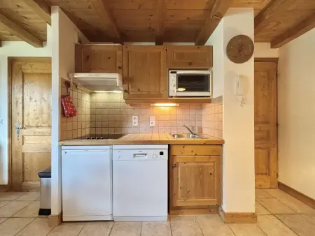 Appartement 7 pers à 300m des pistes, parking : photo 8