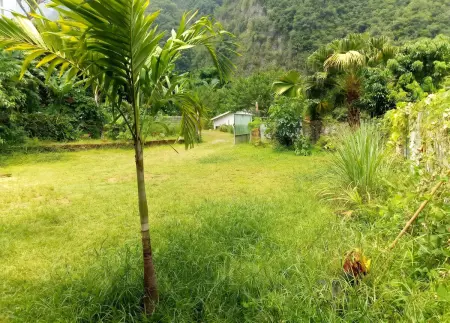 Maison familiale avec jardin et vue montagne à Saint-Joseph, RE : photo 20