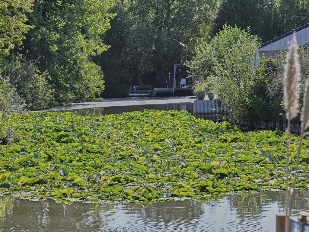 Chalet Ooievaarsnest au bord du lac, à Geel - Photo 40