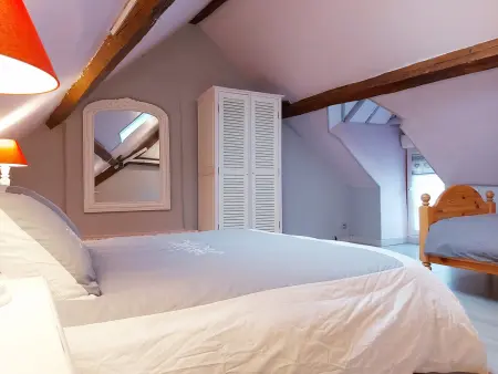 Le 9 du Coq : gîte avec jardin au cœur de Châteaudun - Photo 30