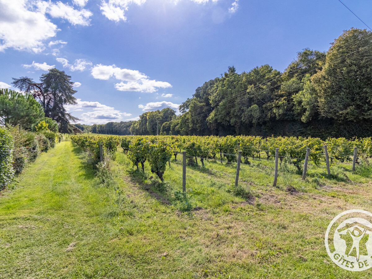 Gîte du Cellier : 15 personnes, vignoble Anjou-Saumur - Photo 8