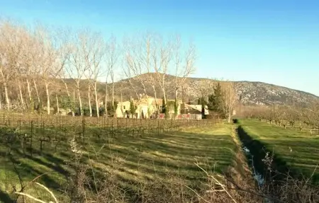Maison pierre avec piscine partagée au pied du Mont Ventoux : photo 2