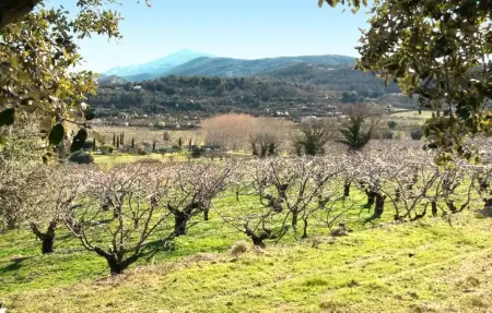Maison pierre avec piscine partagée au pied du Mont Ventoux : photo 13