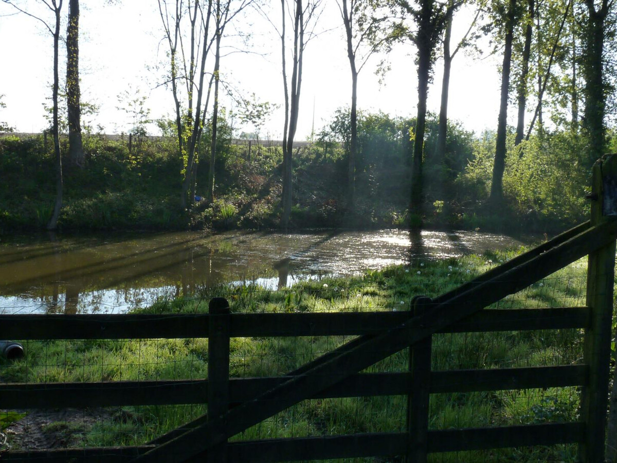 Gîte 6 pers. avec cour, cheminée et étang à Ver - Photo 4