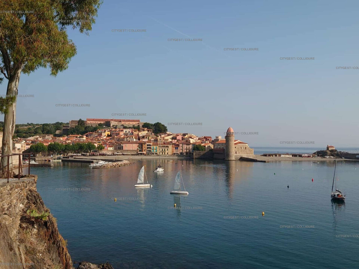 Appartement Collioure avec piscine, parking et plage à 200m - Photo 16