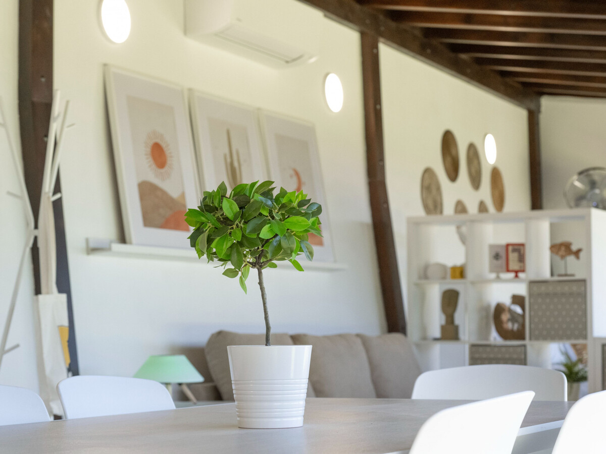 Studio 70m² avec terrasse 80m² pour 4 à Tenerife - Photo 6
