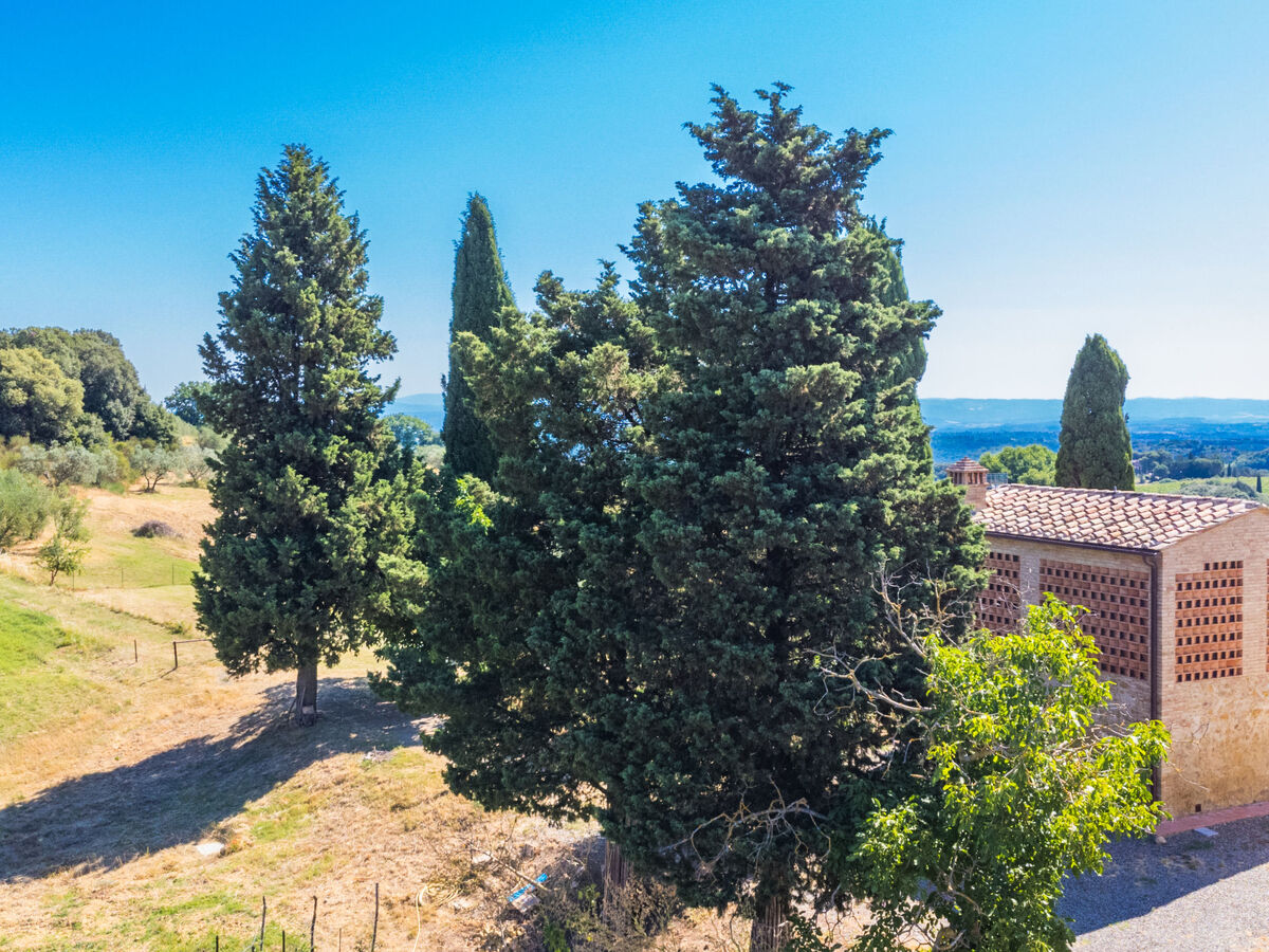 Il Fienile di Leo – Maison rénovée 2025 à San Gimignano - Photo 39