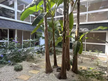 T2 rénové à 300m de la plage à Bénodet : photo 12
